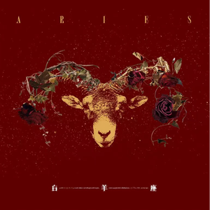 东热CA大乱合集
