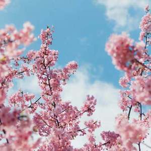 东热CA大乱合集
